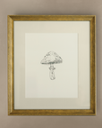 The 'Mushroom' Framed Art