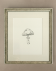 The 'Mushroom' Framed Art