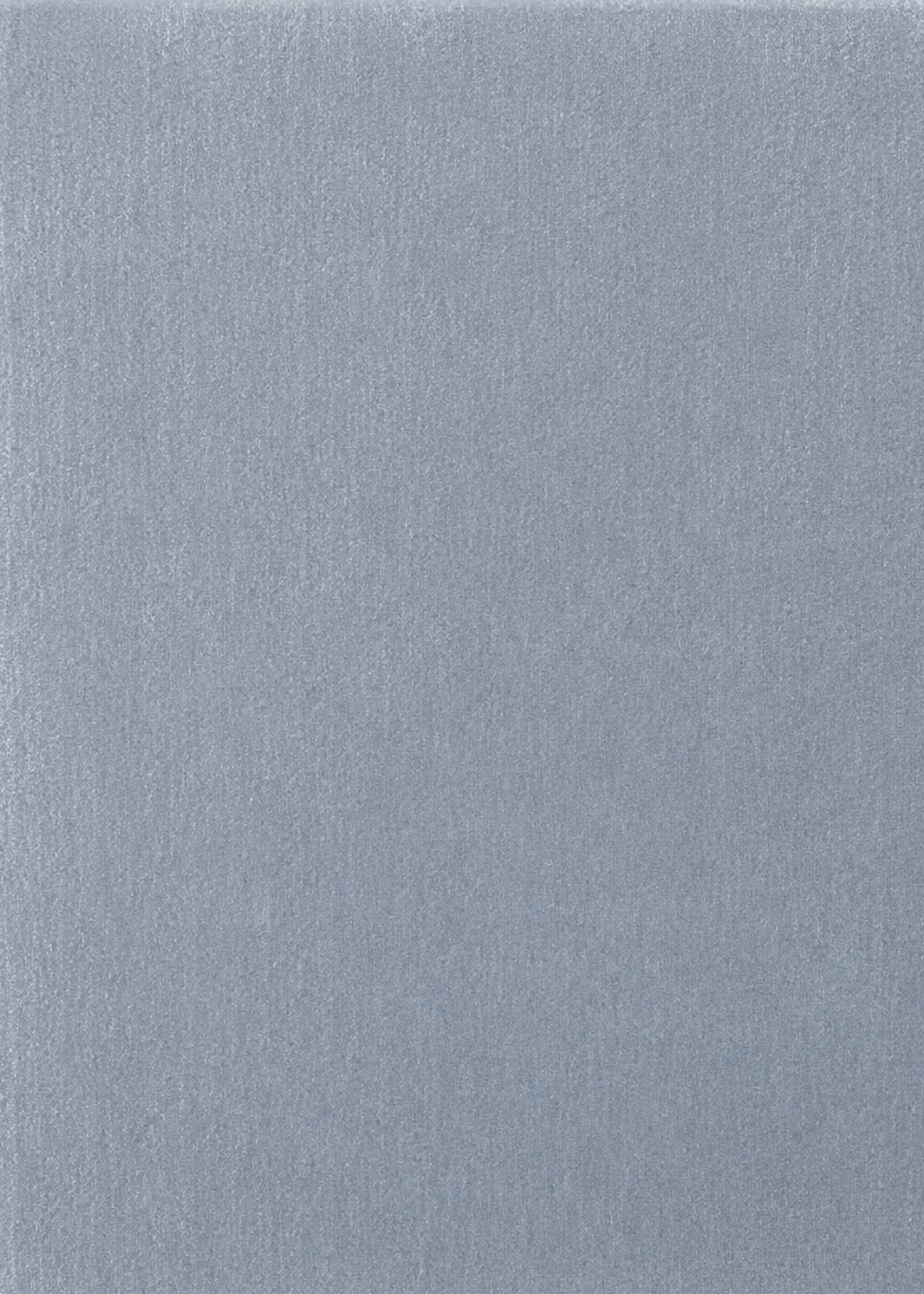 Velvet Slate Swatch