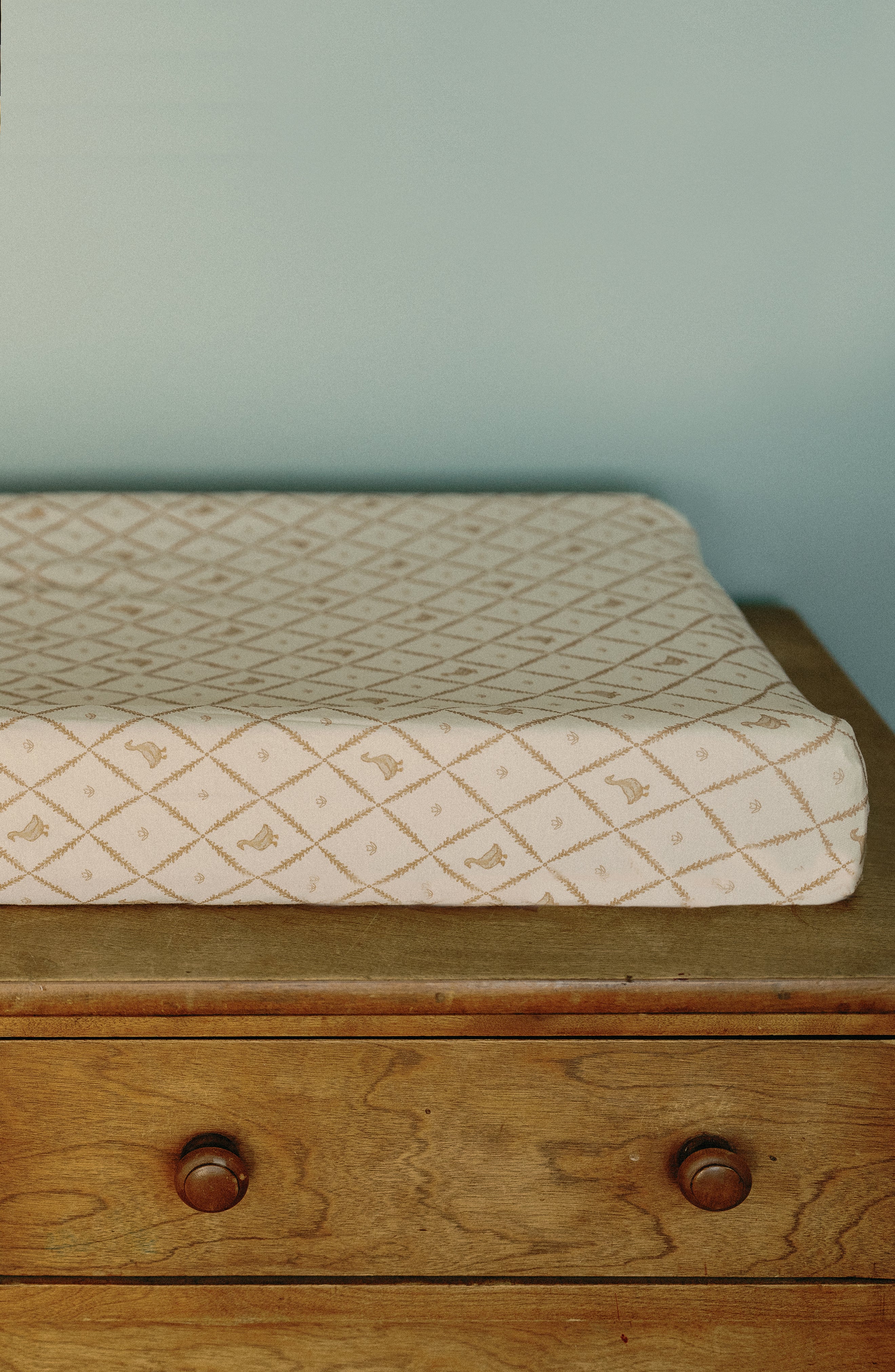 'Duck' - Changing Pad Cover