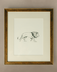 The 'Lion' Framed Art