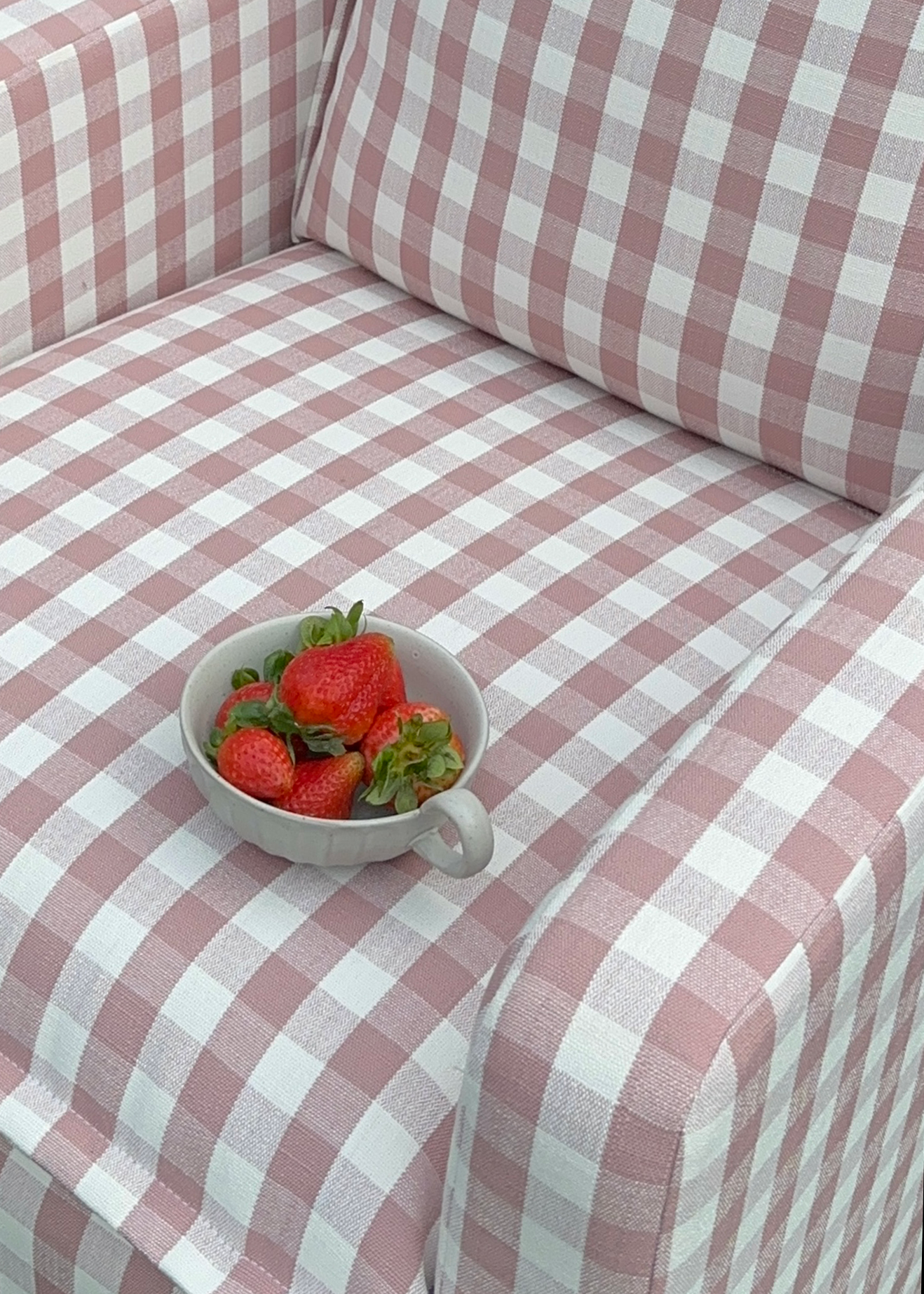 Strawberry Jam Gingham Swatch