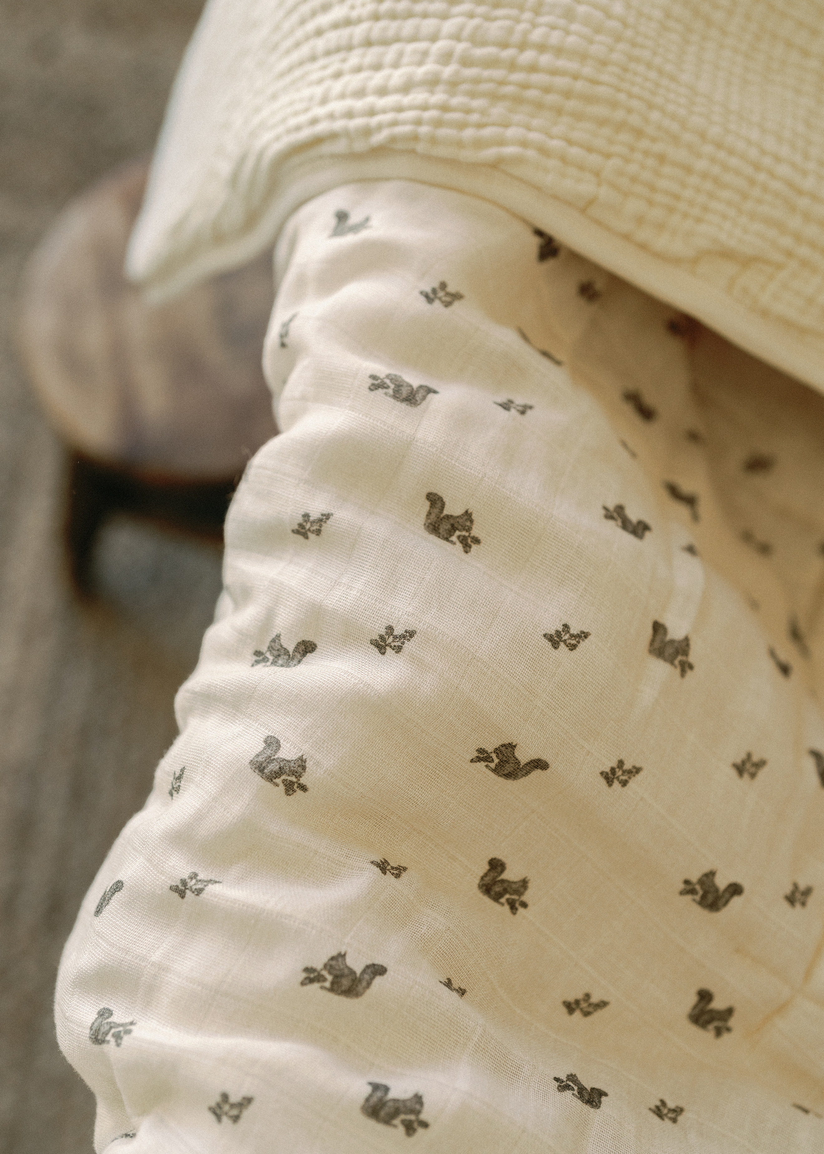 Squirrel - Premium Muslin Crib Quilt & Sham Set