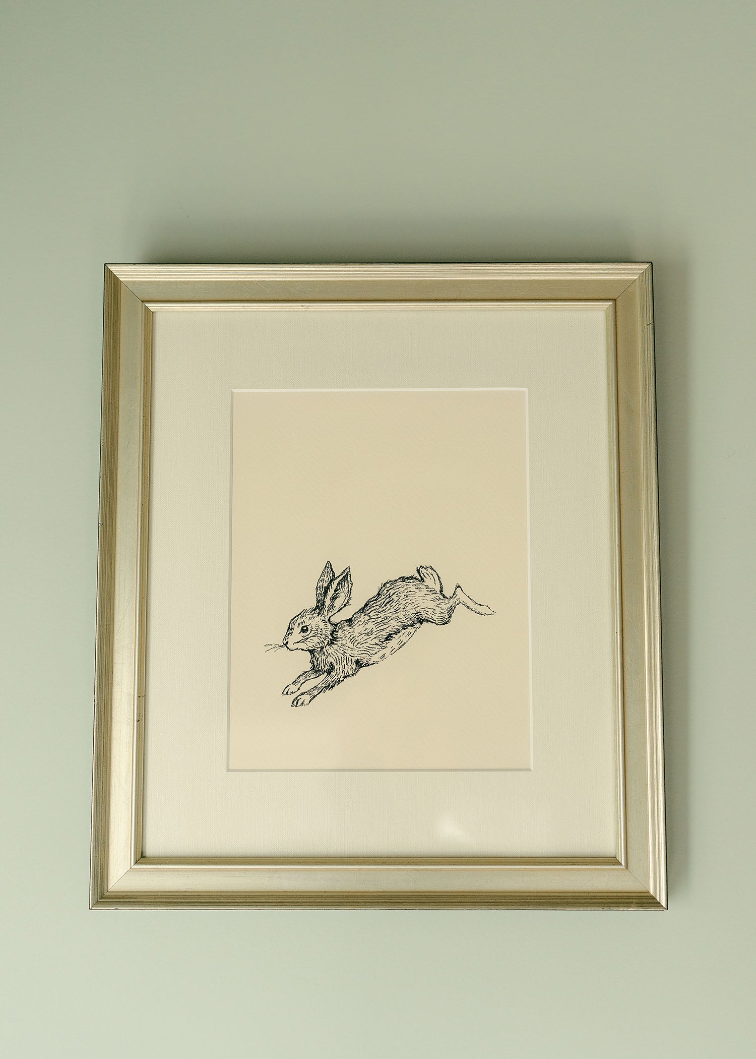 The 'Hare' Rabbit Framed Art
