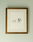 The 'Lion' Framed Art