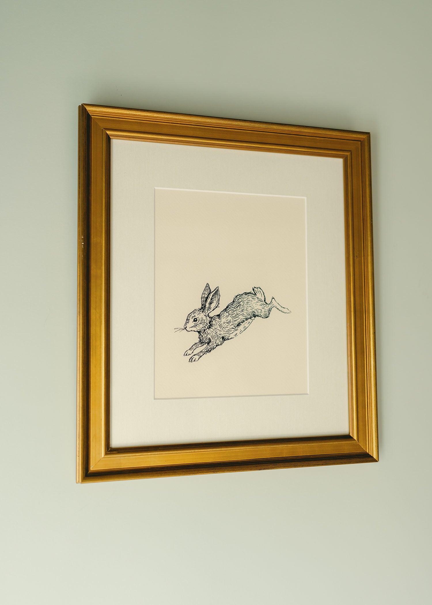 The 'Hare' Rabbit Framed Art
