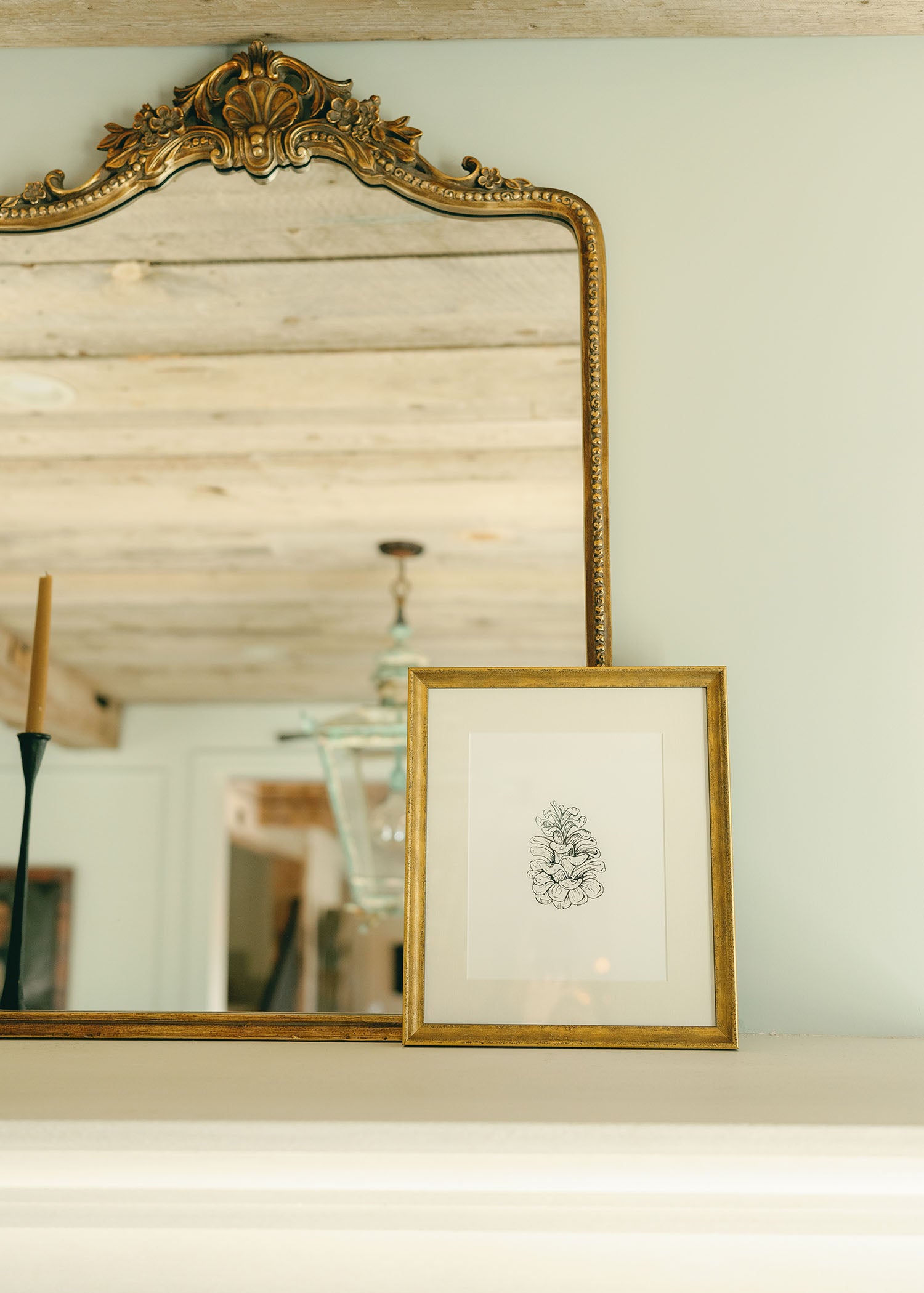 The 'Pinecone' Framed Art