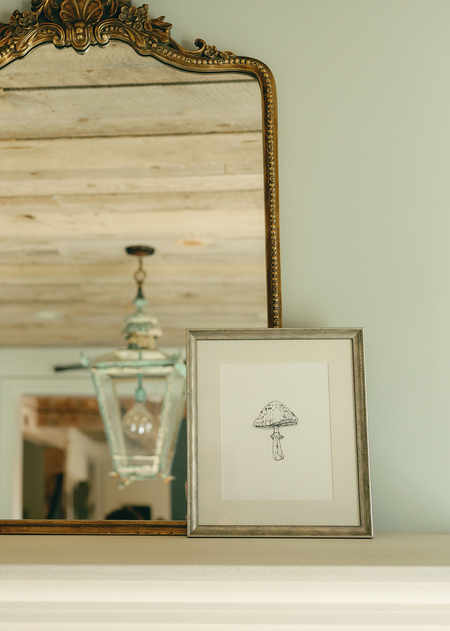 The 'Mushroom' Framed Art