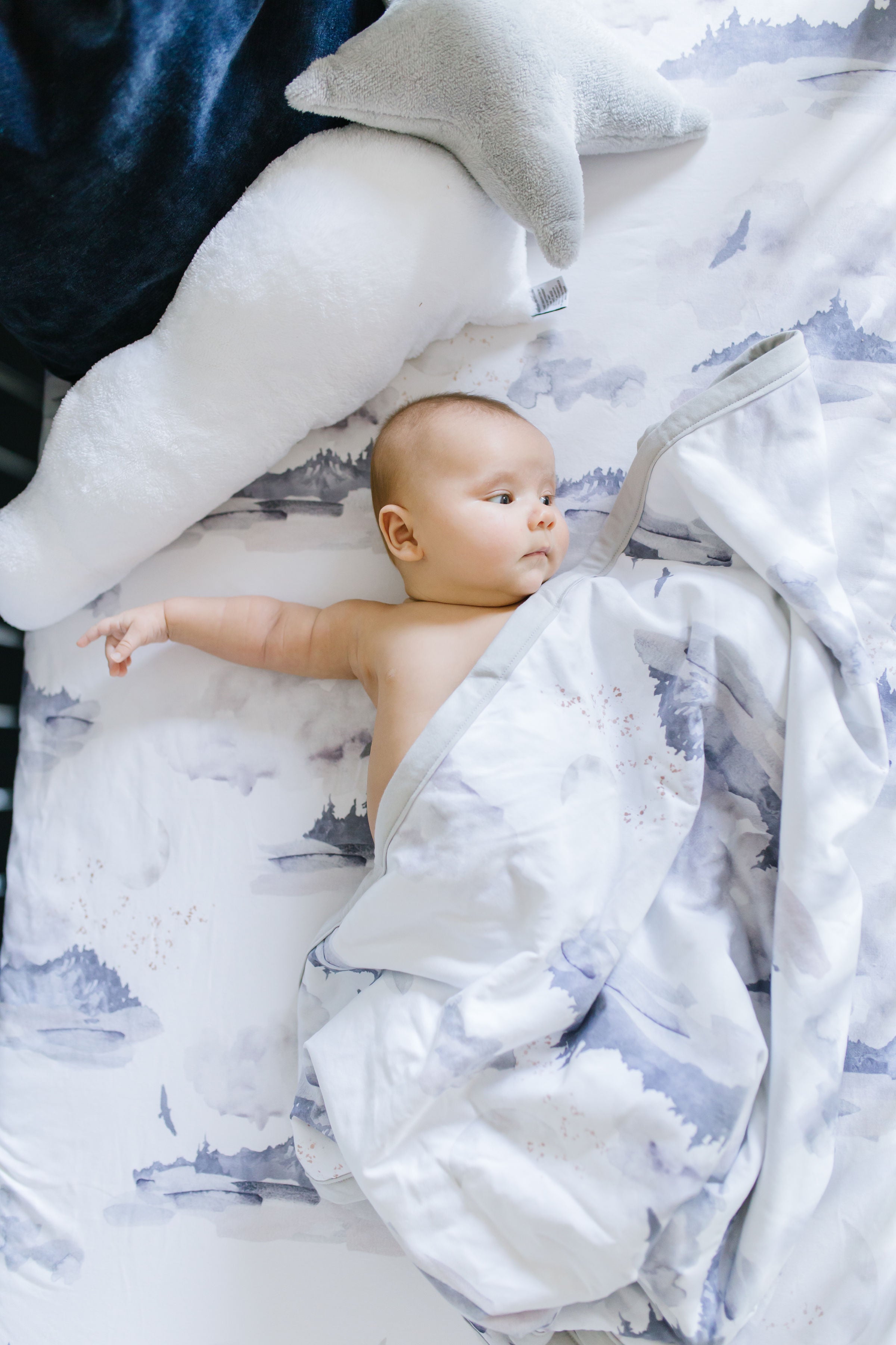 Misty Mountain - Cuddle Plush Infant Blanket