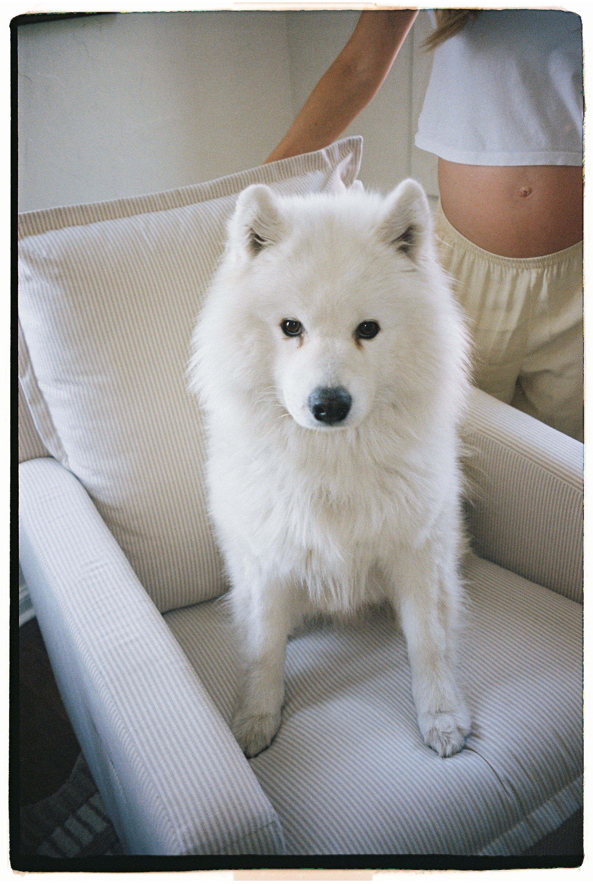 Pebble Stripe Swatch