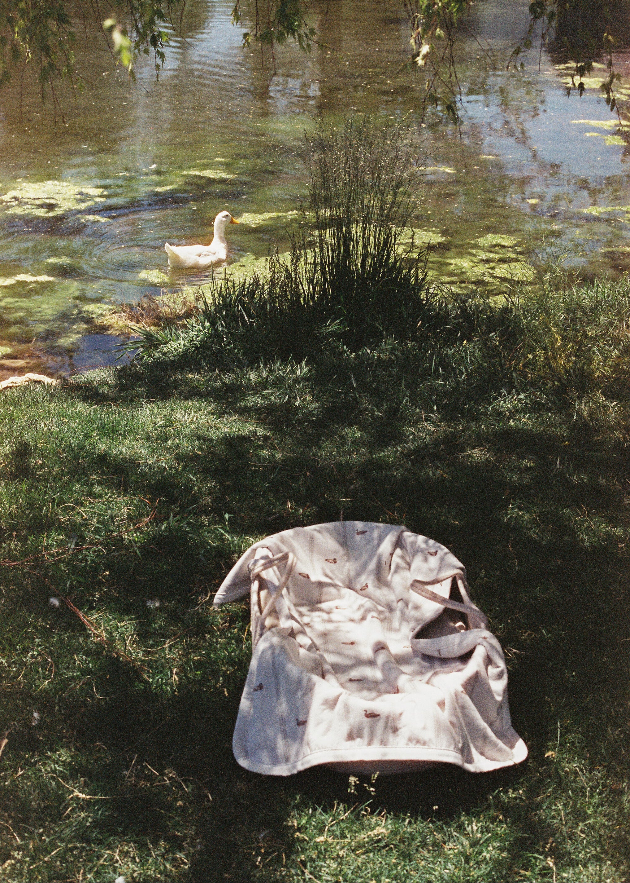 Mallard Duck - Cuddle Blanket