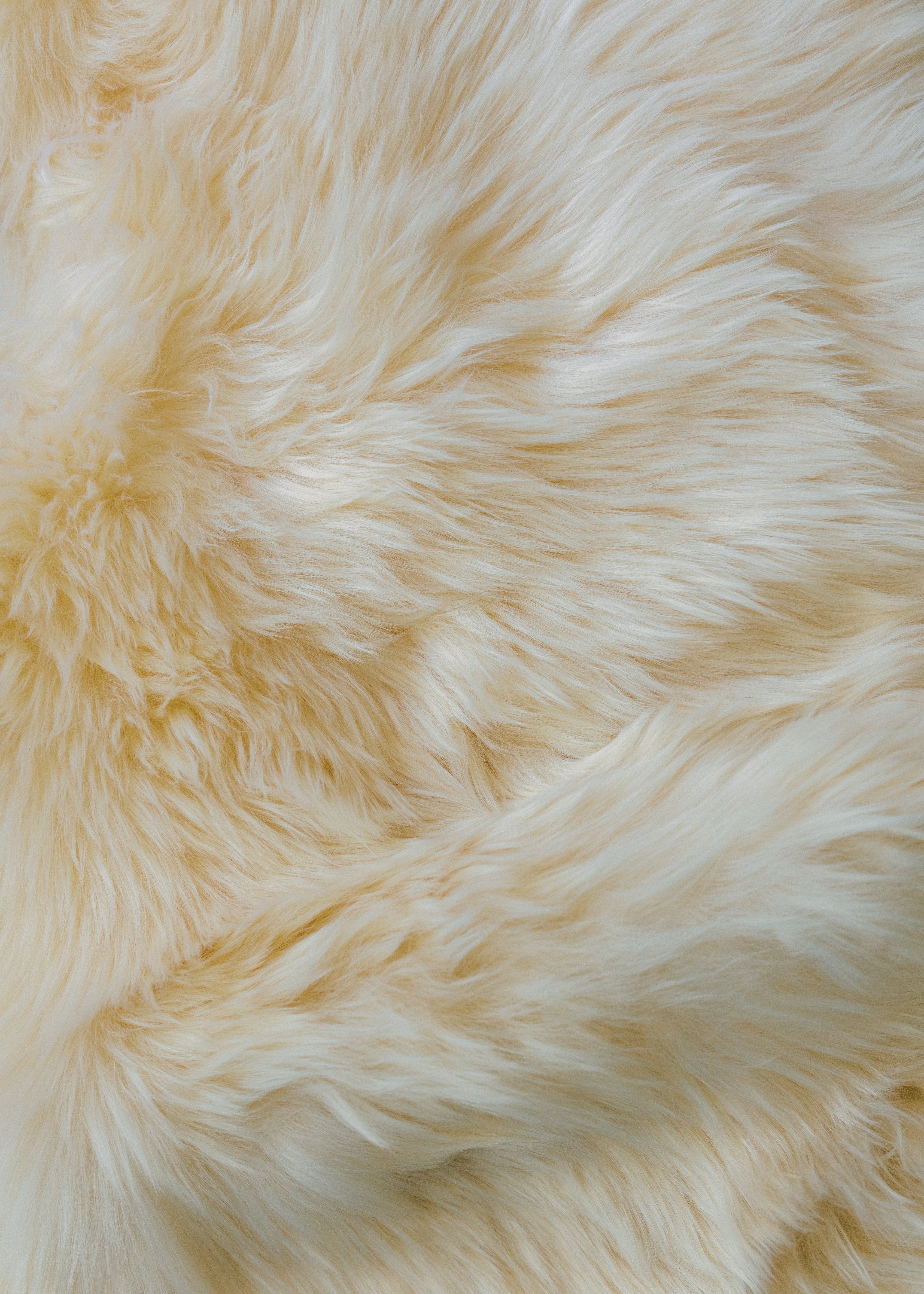 Real Fur Rug - Highland Hide Cream