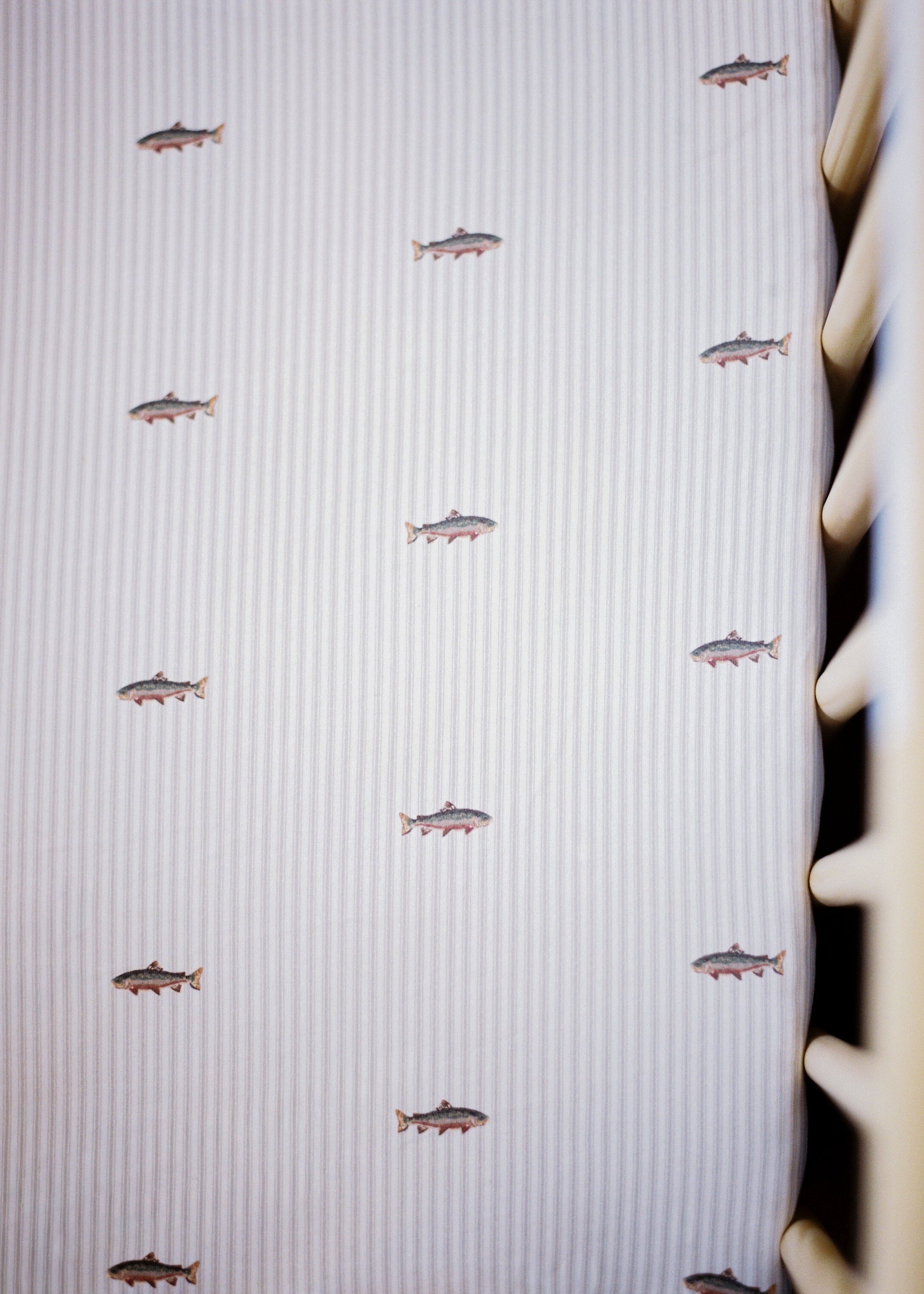 Trout - Crib Sheet