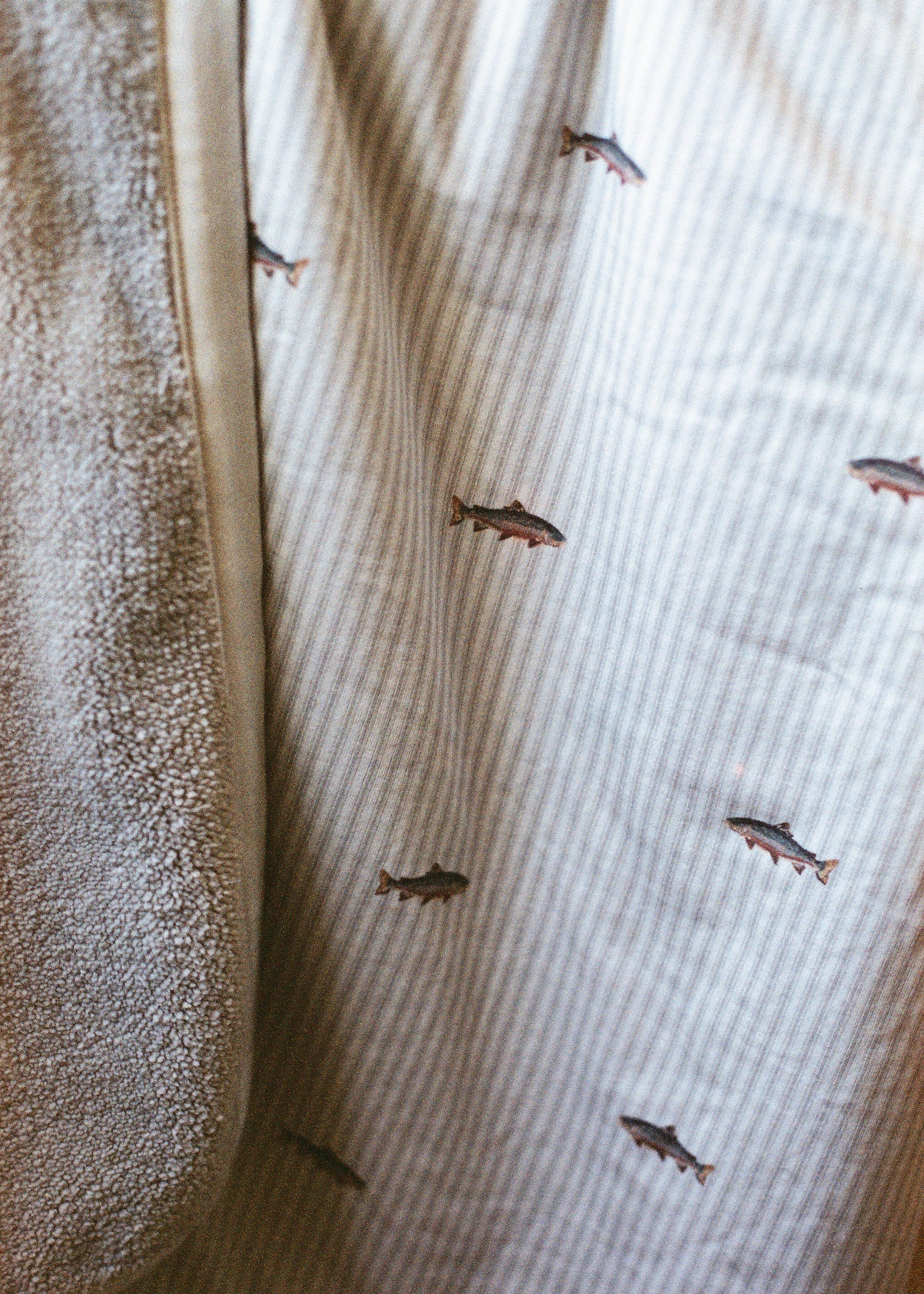 Trout - Cuddle Blanket