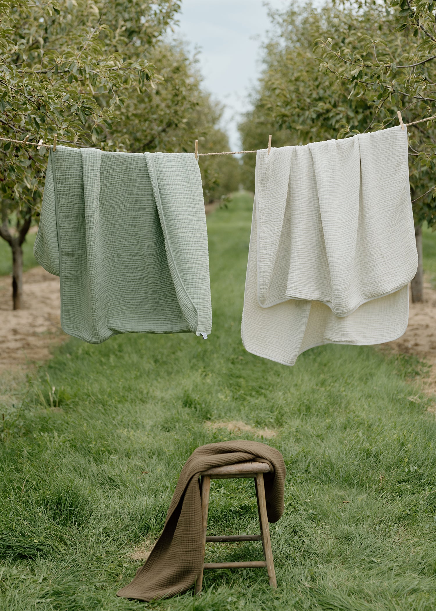 &#39;Sea Moss&#39; Sage Green - Premium Muslin Blanket