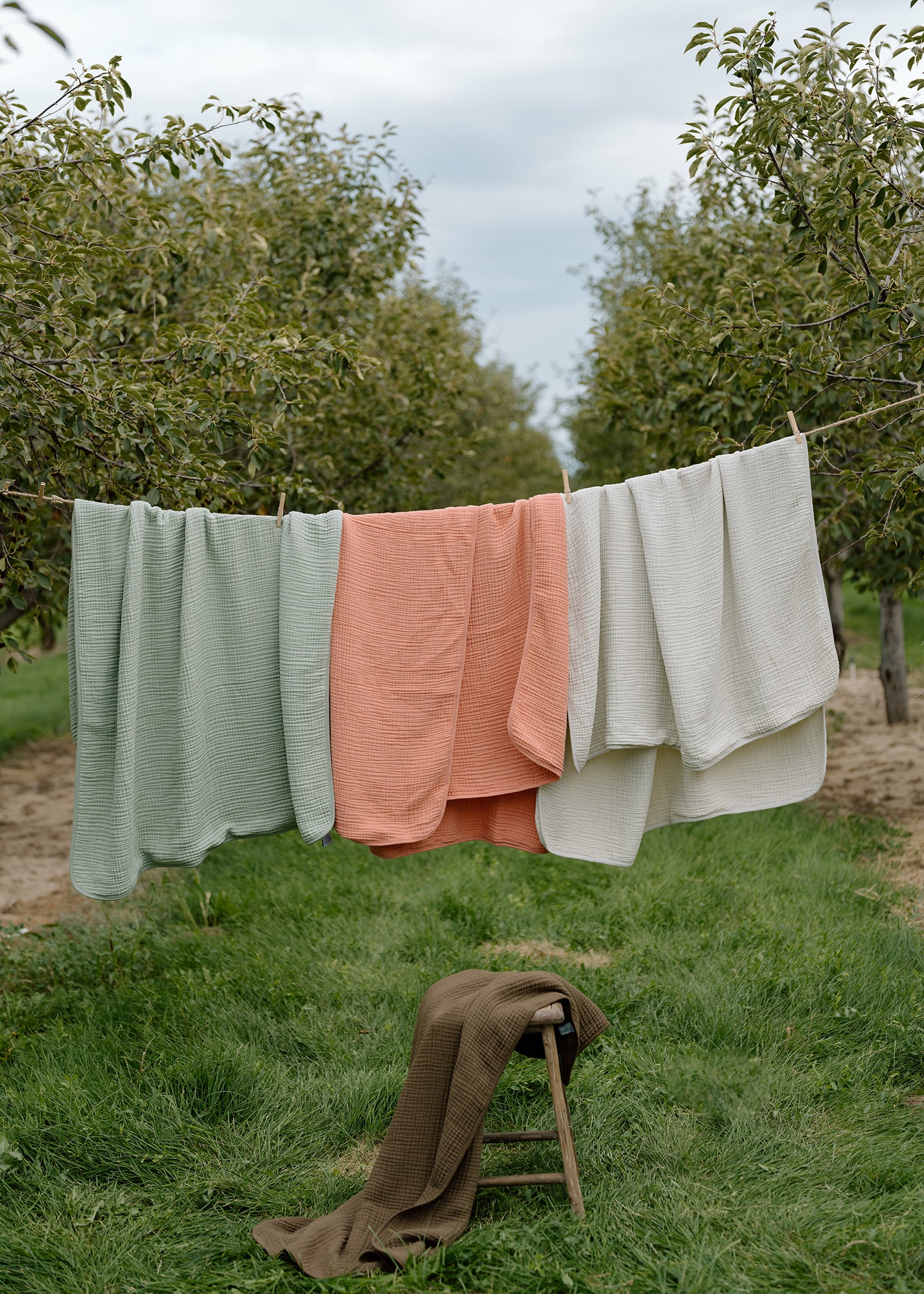 &#39;Rosette&#39; Pink - Premium Muslin Blanket