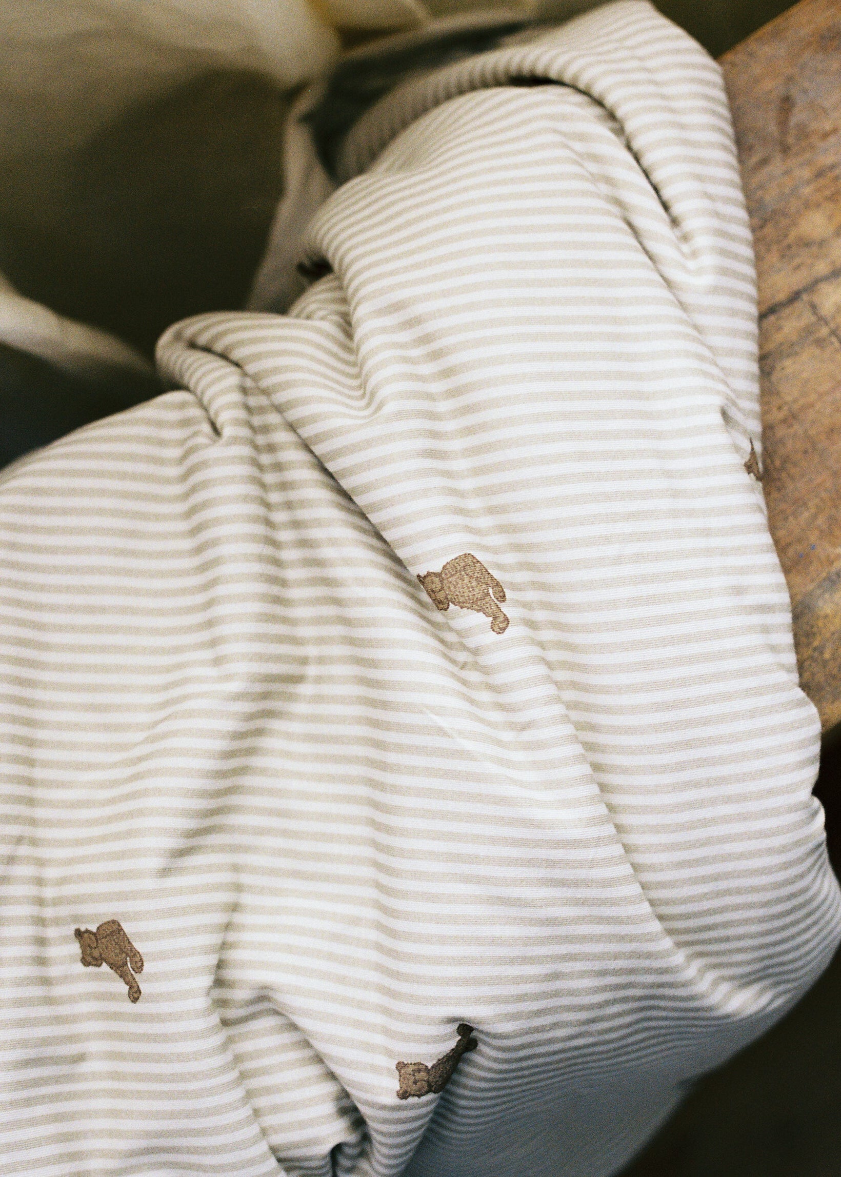 Bear - Cuddle Blanket