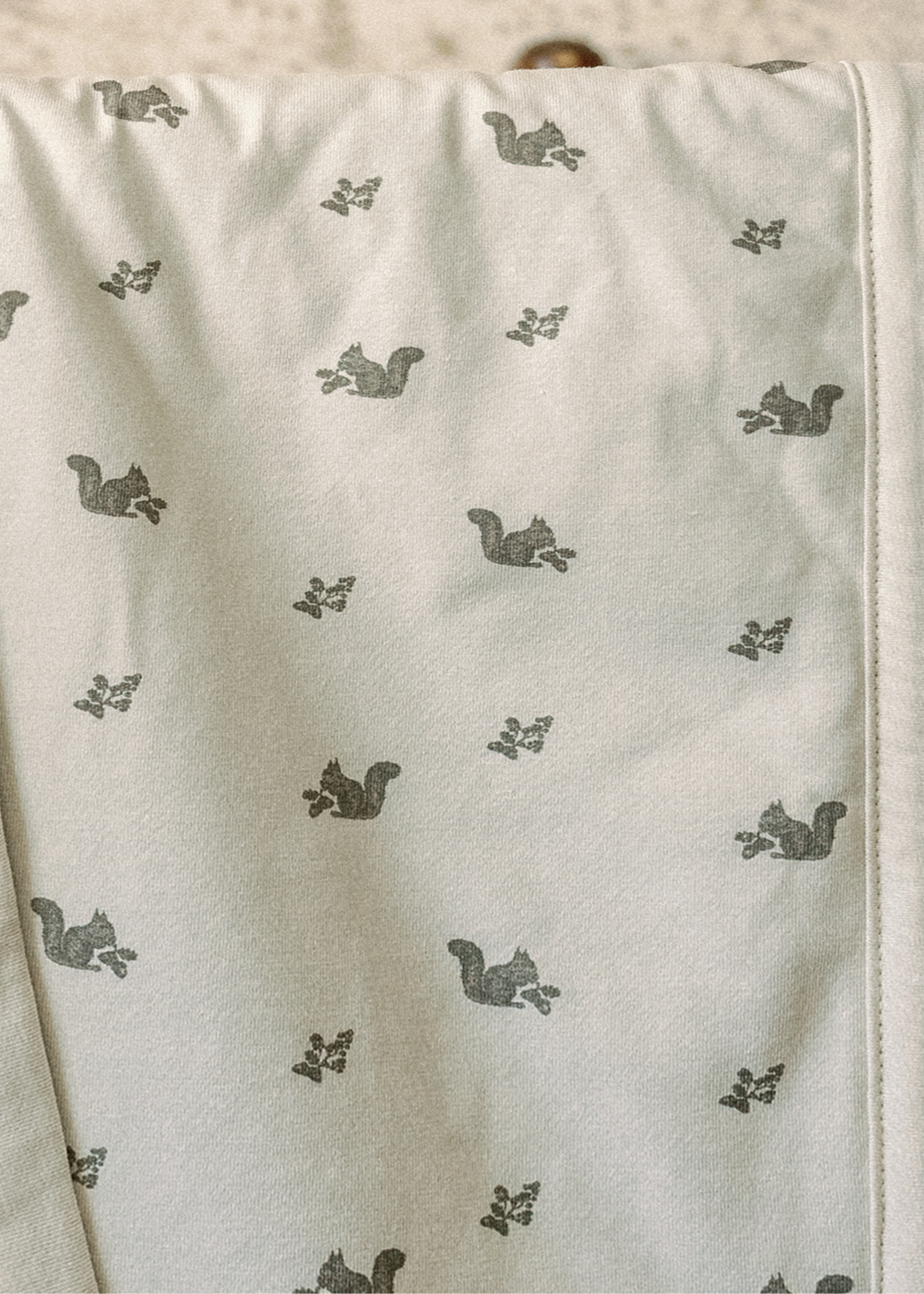 Squirrel - Cuddle Blanket