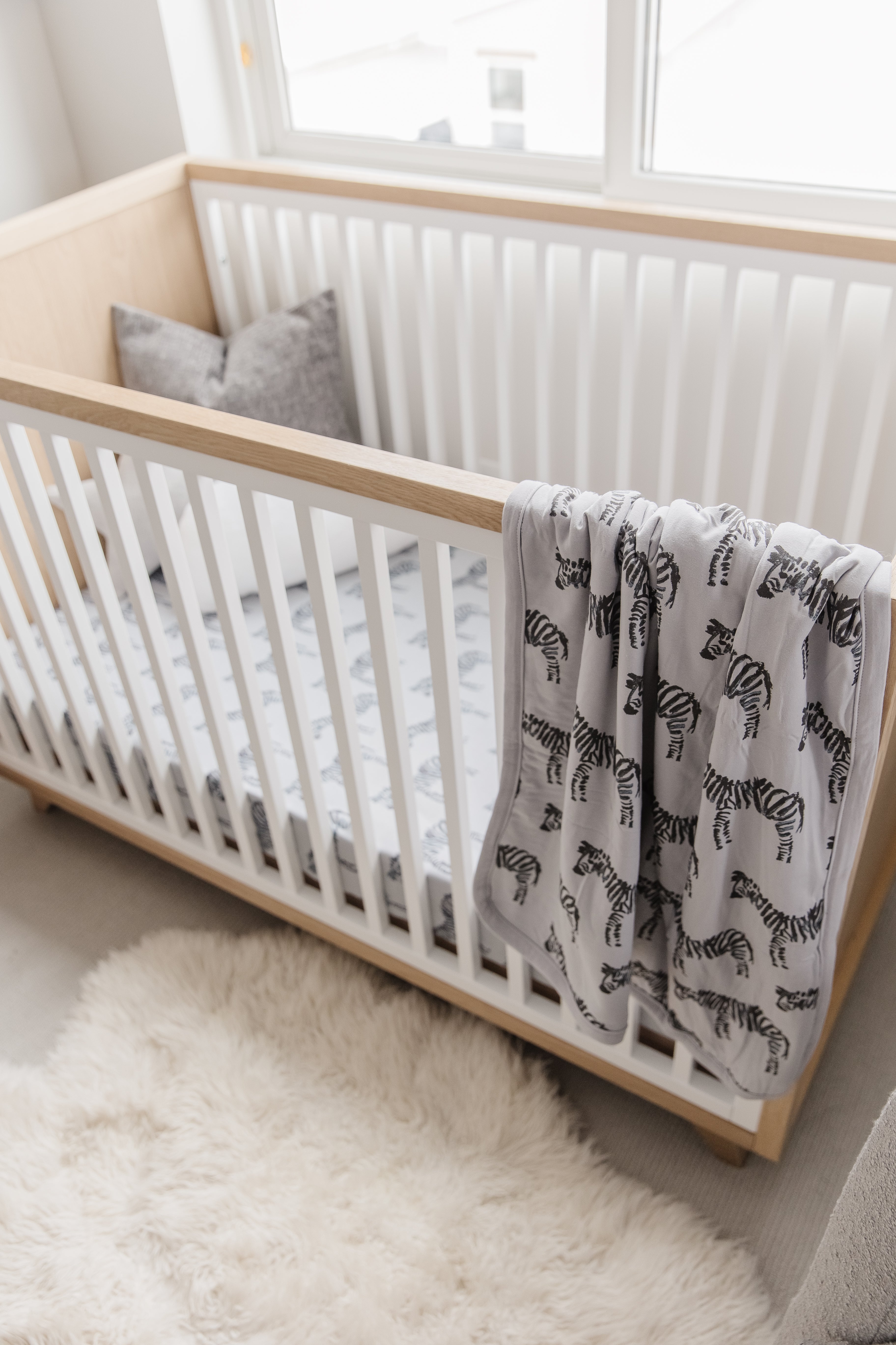 Zebra - Cuddle Plush Infant Blanket