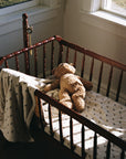 'Mushroom' Nursery - Cuddle Plush Infant Blanket