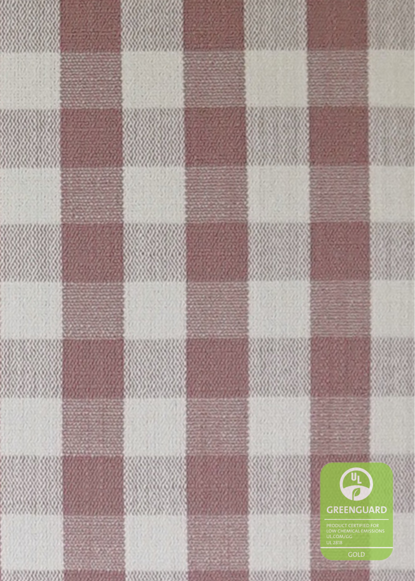 Strawberry Jam Gingham Swatch