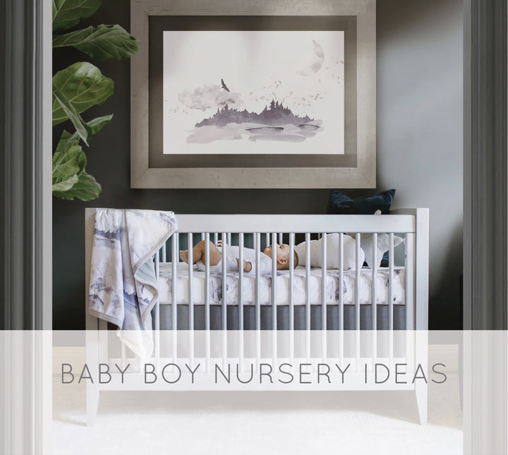 5 Fun Baby Boy Nursery Ideas