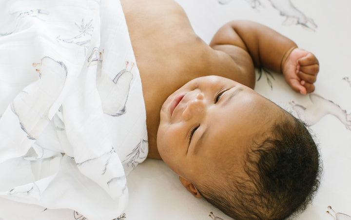 Why You Need a Swaddle Blanket For Your Newborn