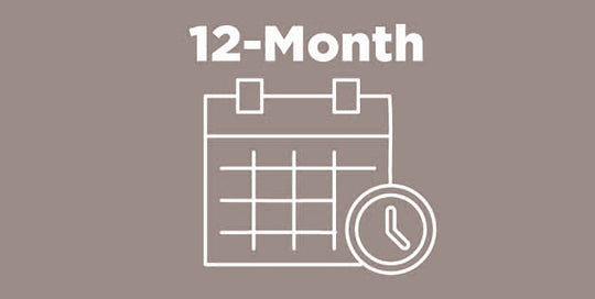 OPTION 2: TWELVE MONTH PAYMENT PLAN