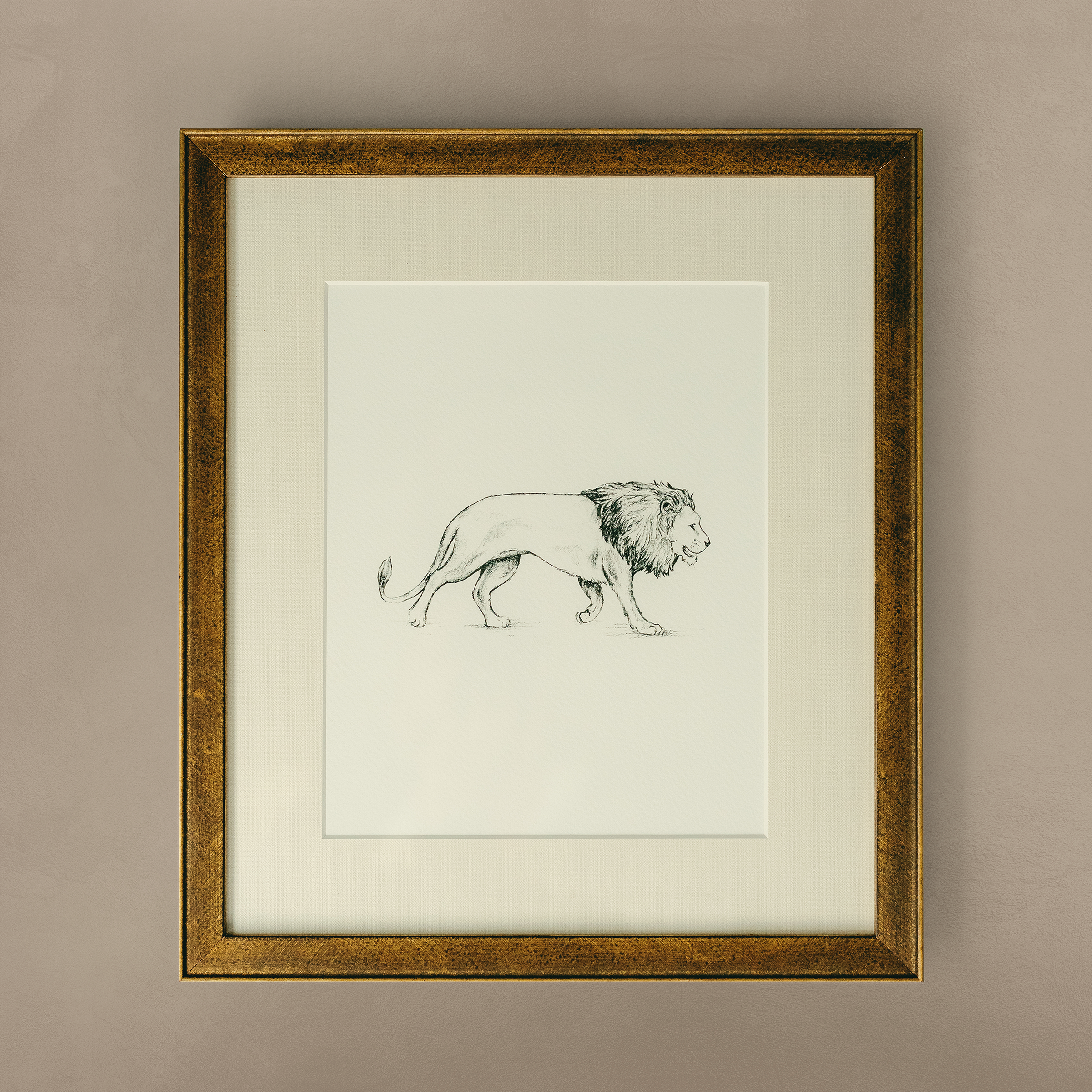 The 'Lion' Framed Art