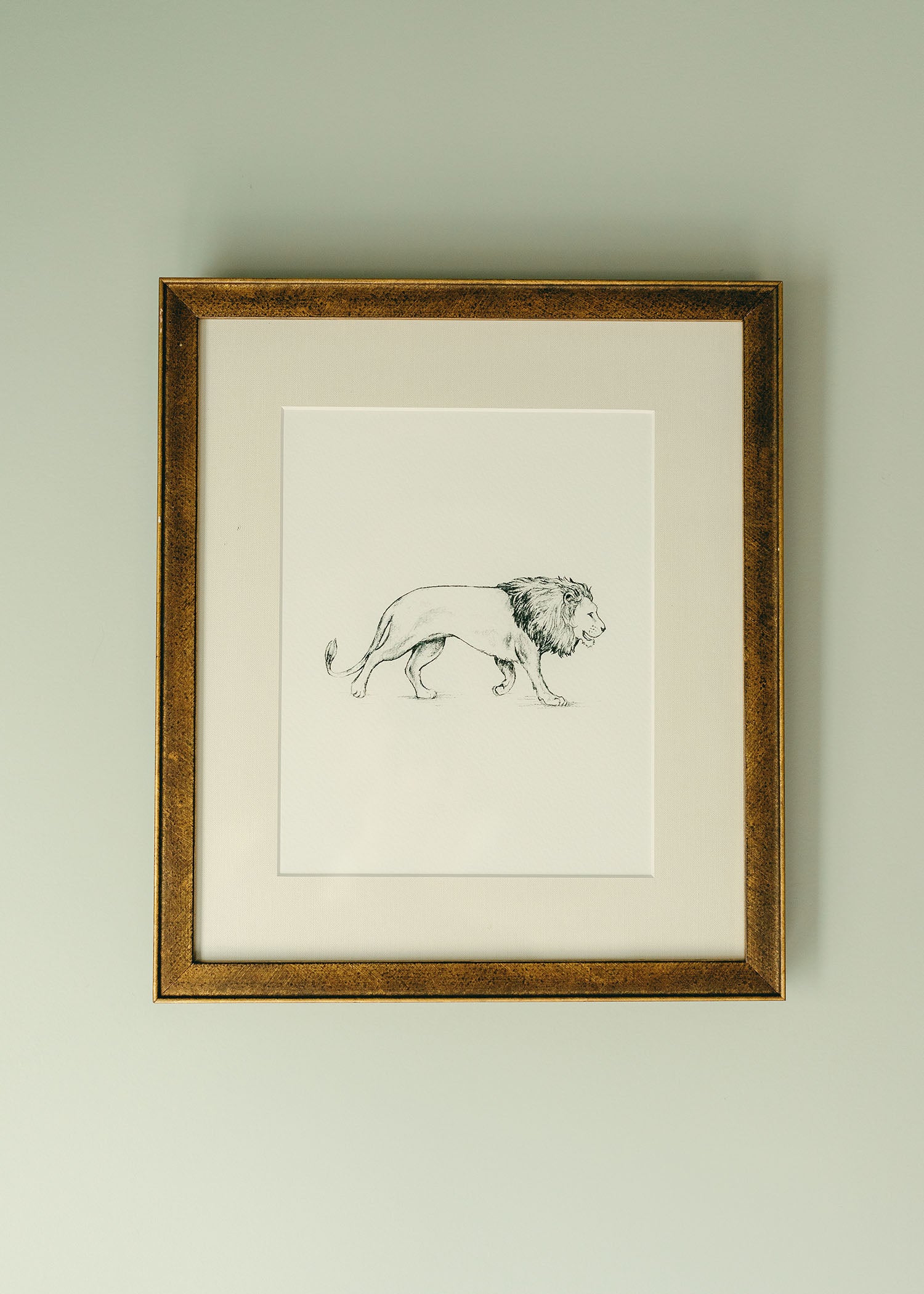 The &#39;Lion&#39; Framed Art