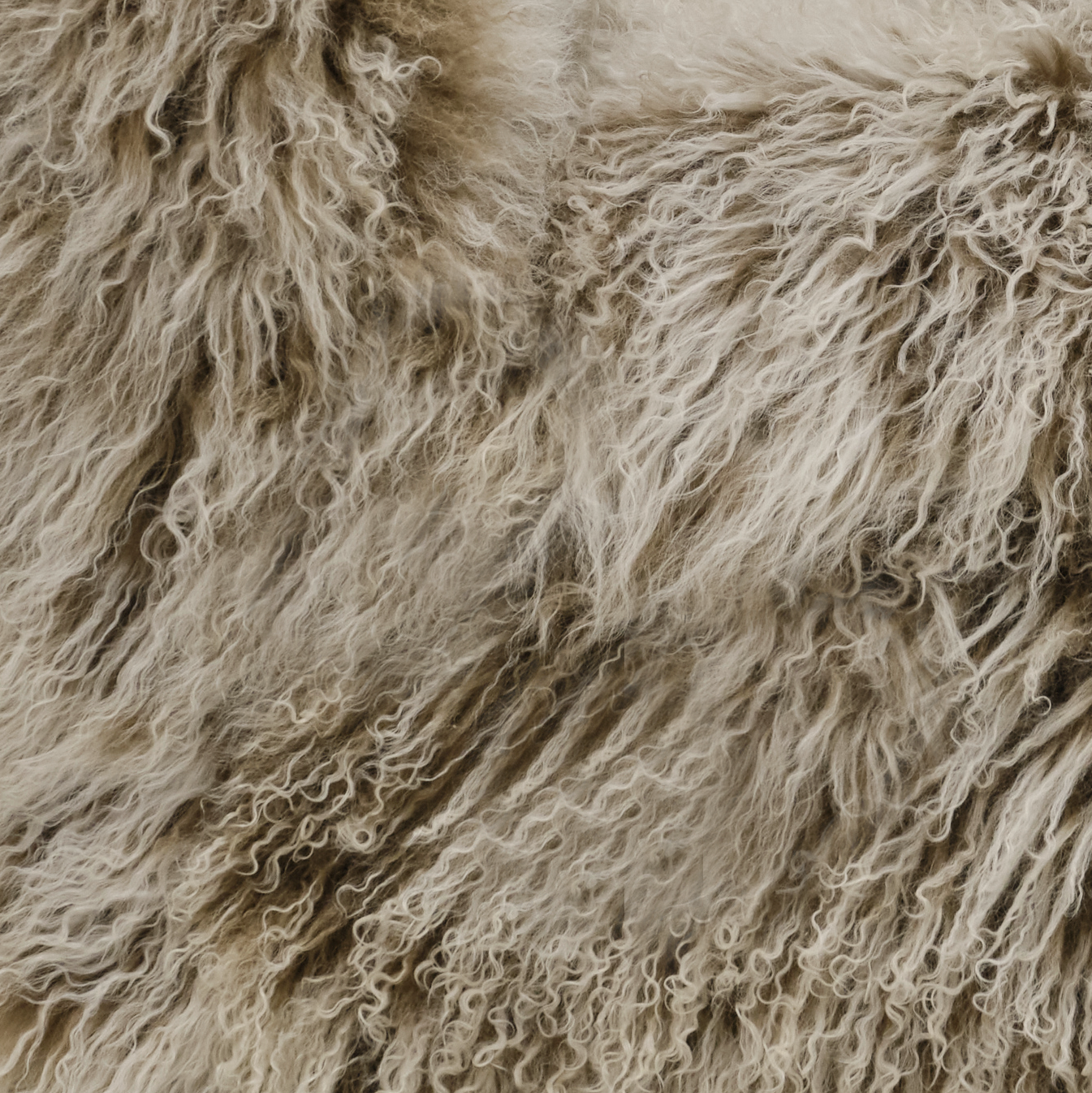 Genuine Tibetan Fur Hide Swatch