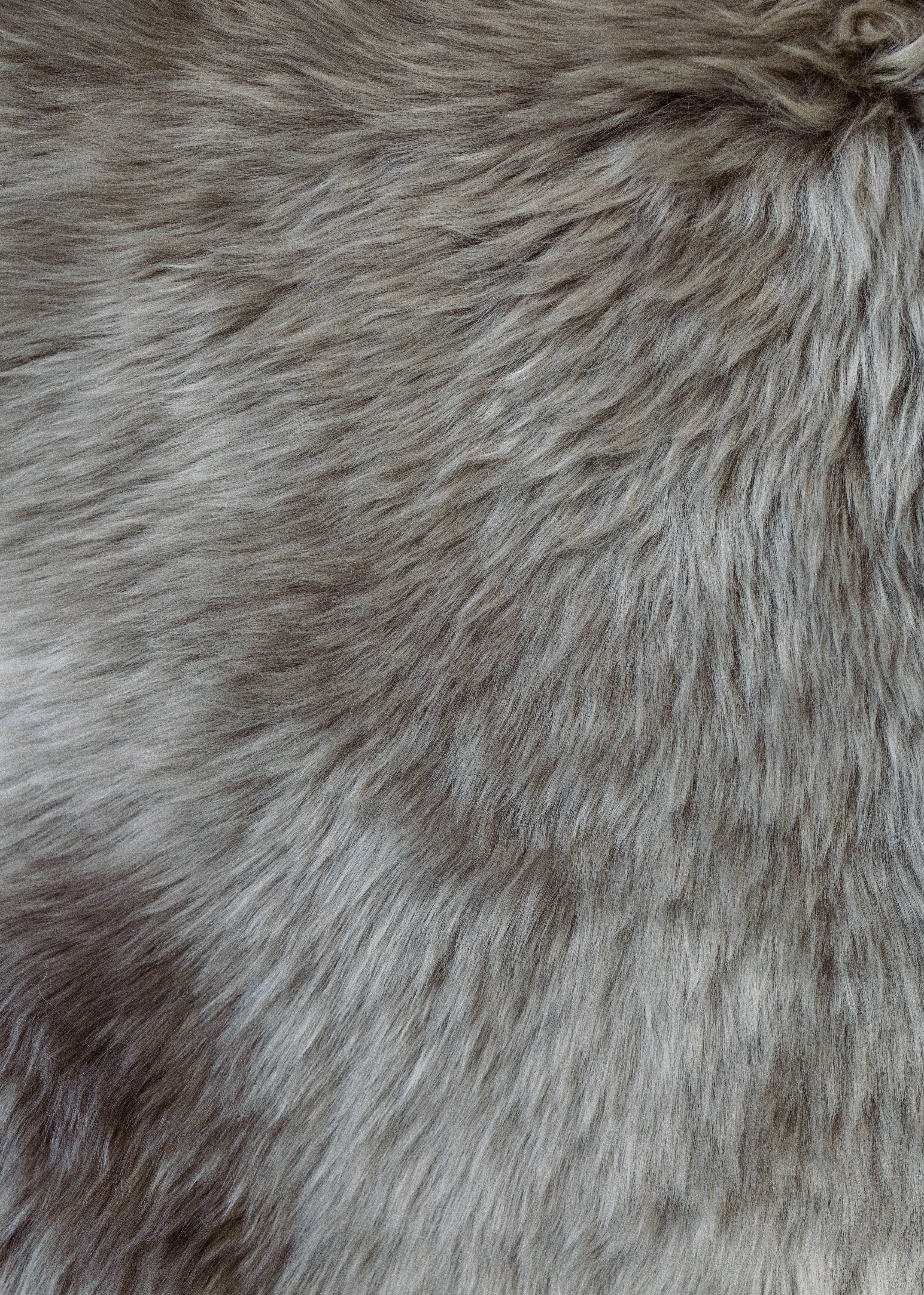 Real Fur Rug - Highland Hide Driftwood