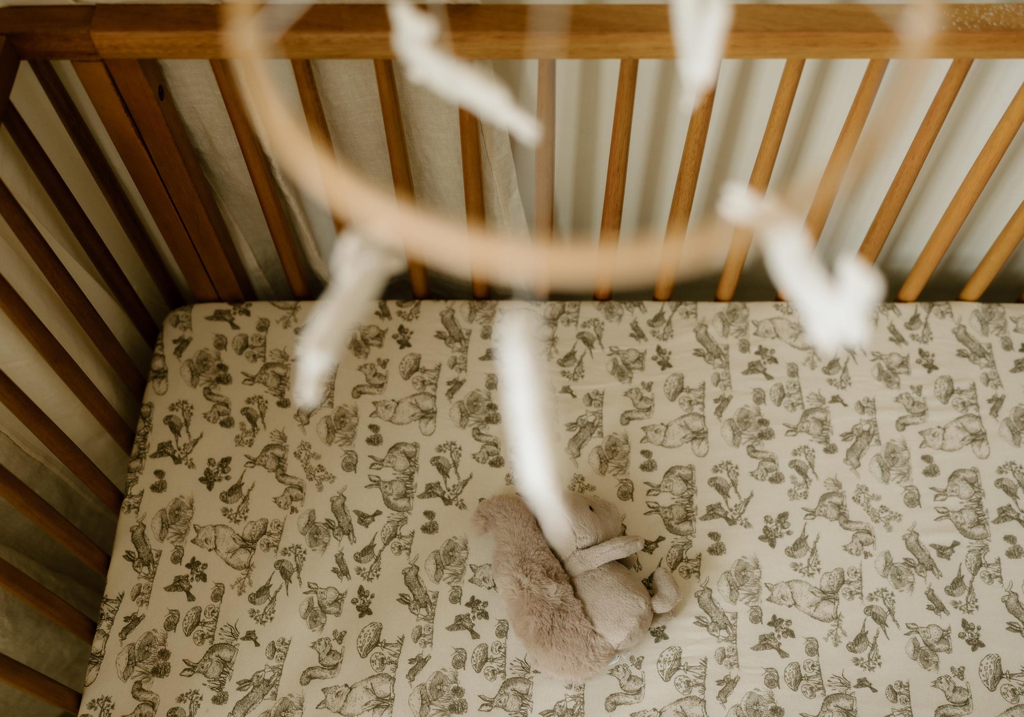 Slideshow Image 3