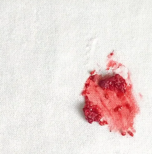 OILO's Velvet Ivory fabric: Raspberry Stain Test
