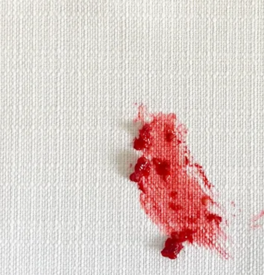 Oilo's Woven White Fabric: Raspberry Stain Test
