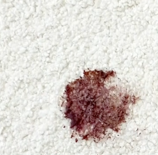 Oilo's sheepskin cloud fabric: Berry Stain Test