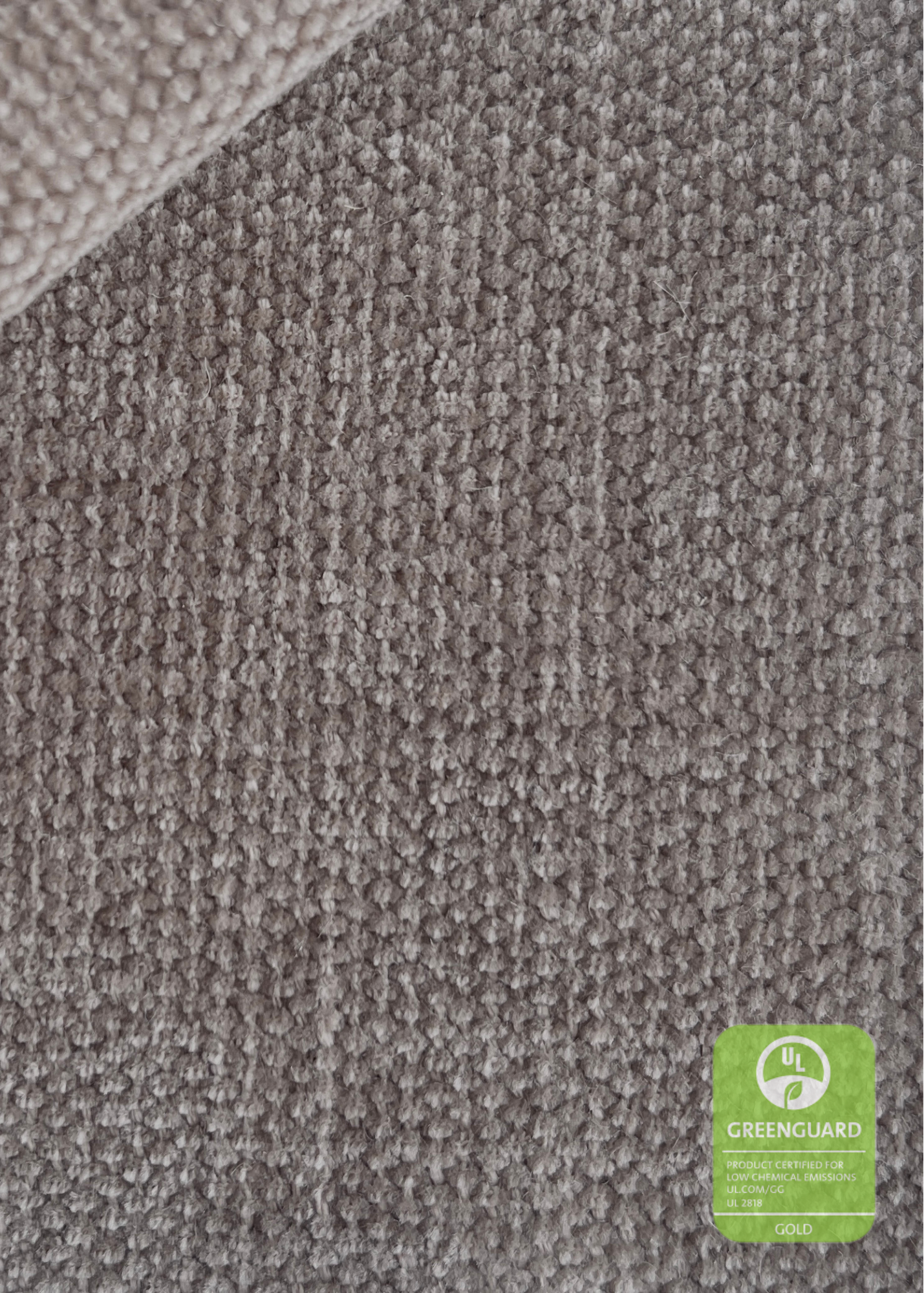 IN STORE EXCLUSIVE - HIGH PERFORMANCE DRIFTWOOD SWATCH
